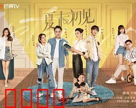《夏末初见:青春里的最后一页》