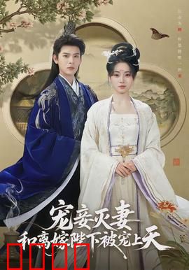 宠妾灭妻，和离嫁陛下被宠上天：虐渣翻身