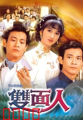 双面人粤语:暗夜复仇