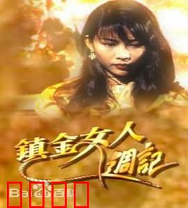 镇金女人周记粤语:豪门暗战
