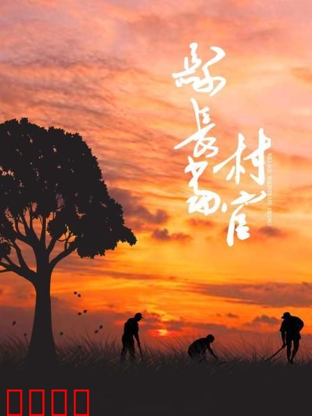 县长当村官：从官到民的转变