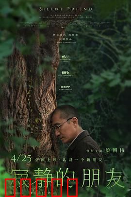 寂静的朋友:无声的陪伴