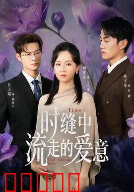 时缝中流走的爱意：时光逆旅