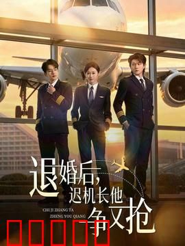 退婚后，迟机长他争又抢：高冷机长的追妻路