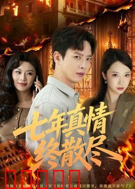 七年真情终散尽：爱情败给现实